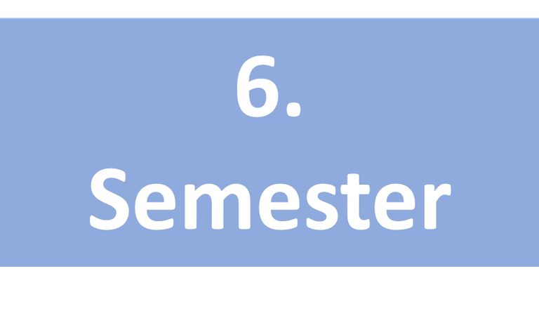 6.Semester PPT.png