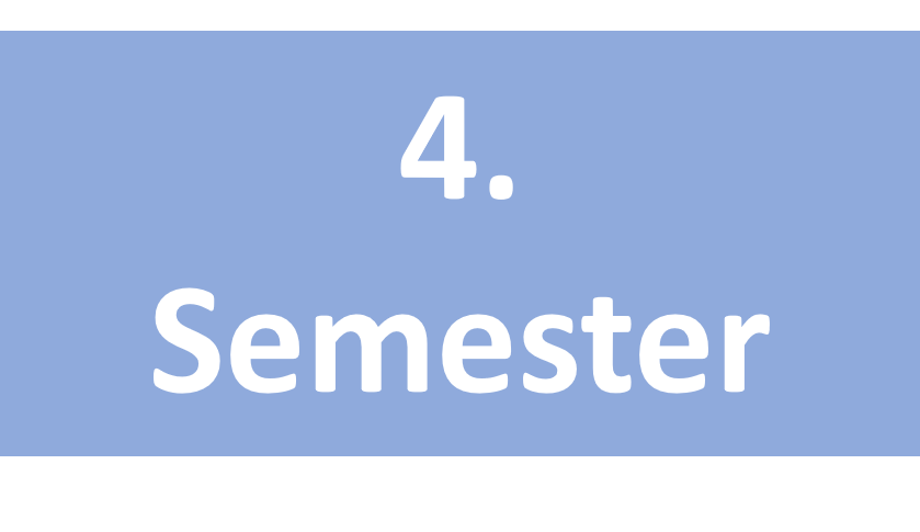 4. Semester