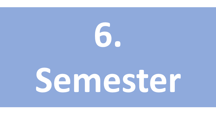 6. Semester