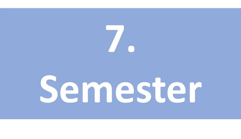7. Semester