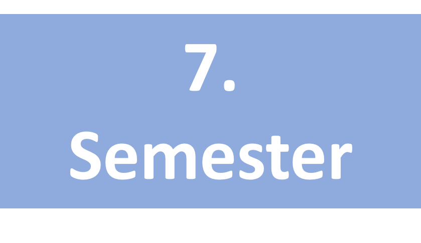 7. Semester