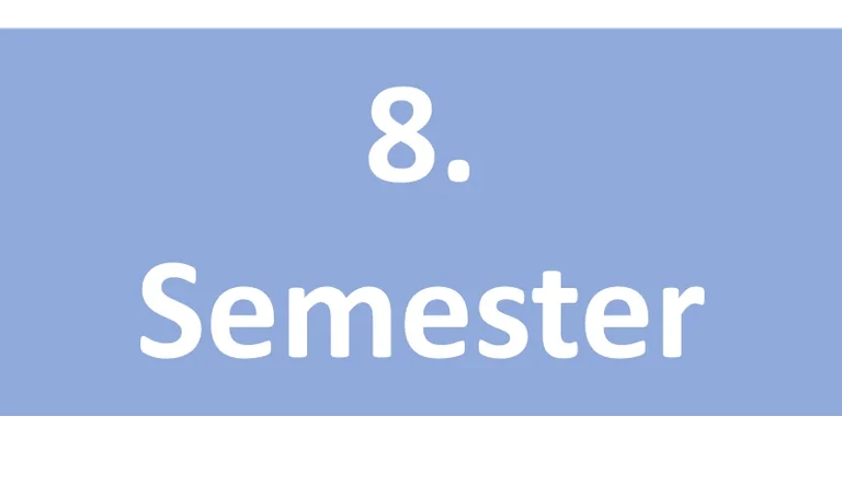 8. Semester