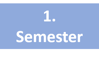 1. Semester