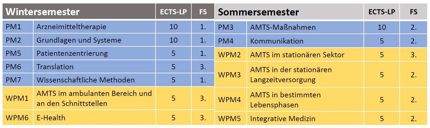 Snapshot Modulangebot ab 2025.JPG